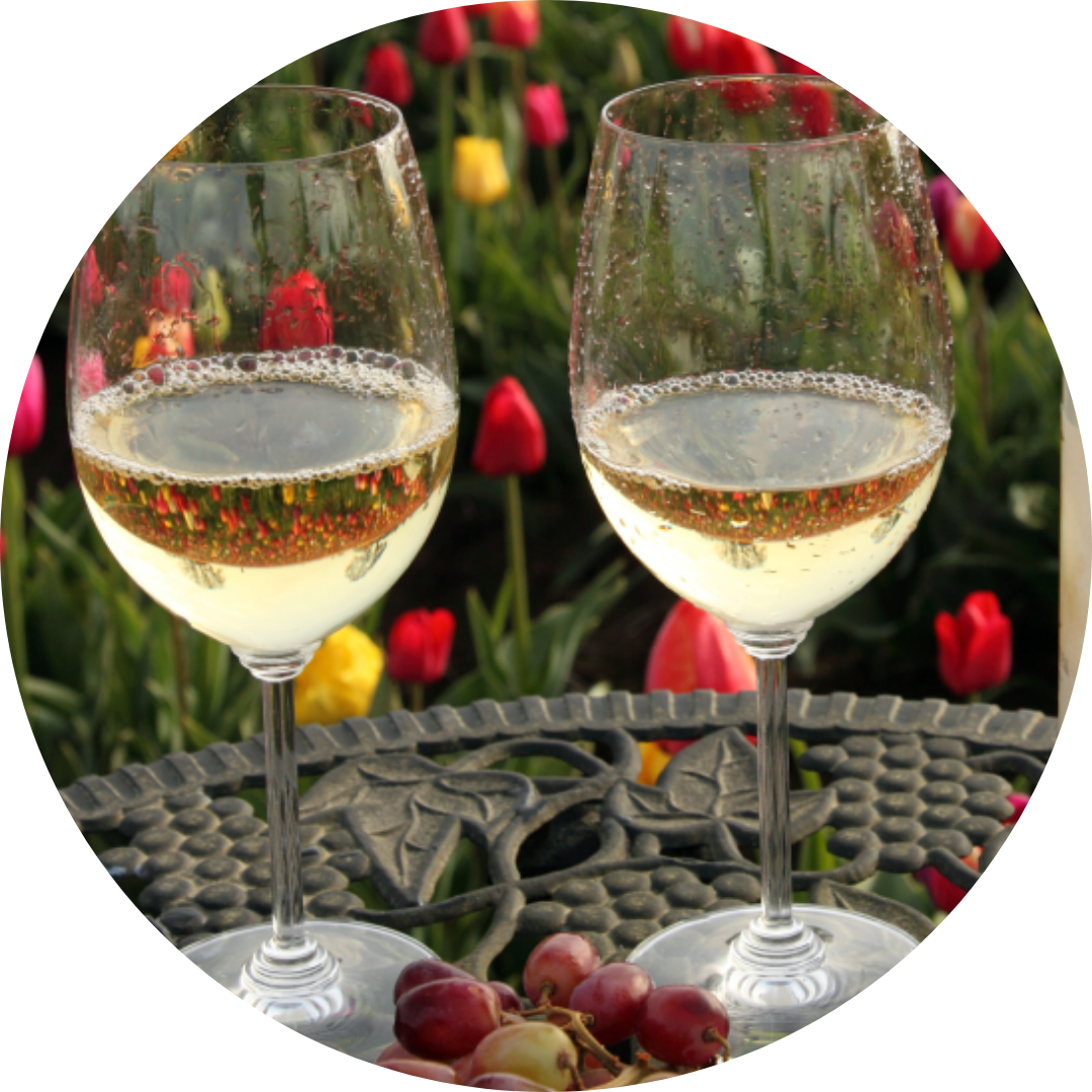 A picturesque outdoor setting with glasses of white wine and blooming flowers, celebrating spring wine selections.