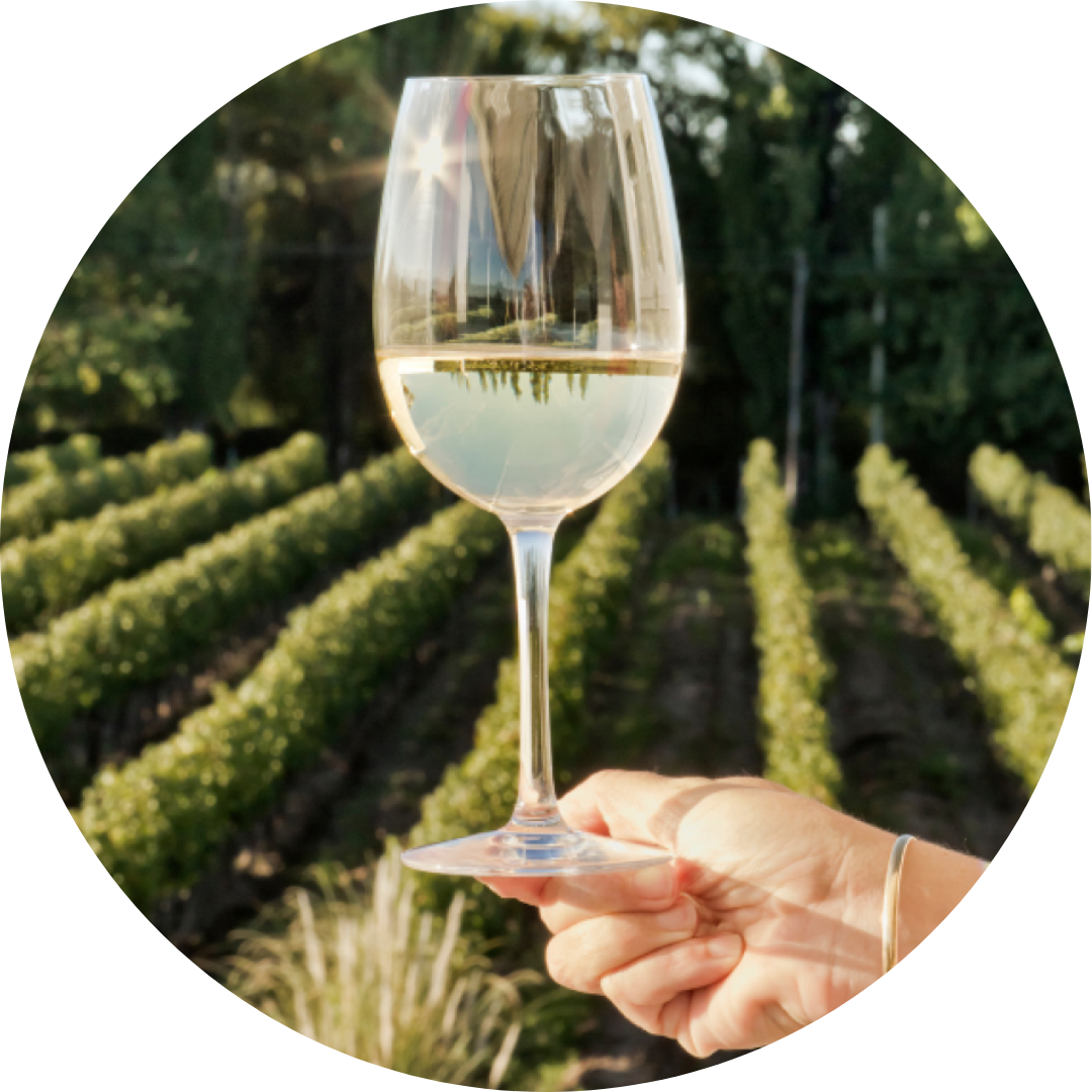 A glass of white wine in a vineyard—experience Portugal’s rich reds and refreshing Vinho Verde.