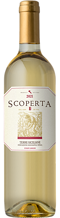 2021 Scoperta Pinot Grigio