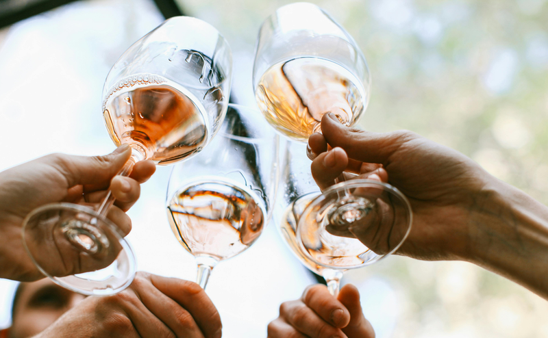 scenic view of vineyard